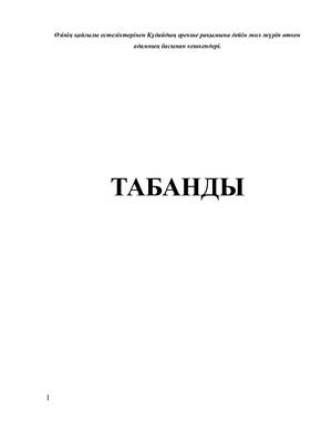 Жыныстық қатынас кезіндегі позициялар