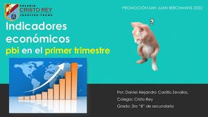 Indicadores Económicos I trimestre PBI