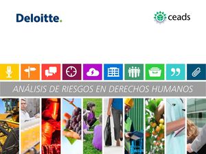 Análisis De Riesgos En Ddhh Ceads Deloitte