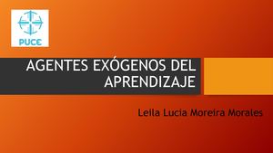 Agentes Exogenos De Aprendizajes