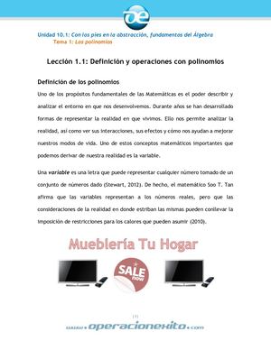 L1 1 Definicion Polinomios