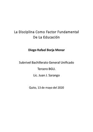 Monografia Diego Rafael