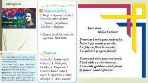 1 Tara Mea, Otilia Cazimir