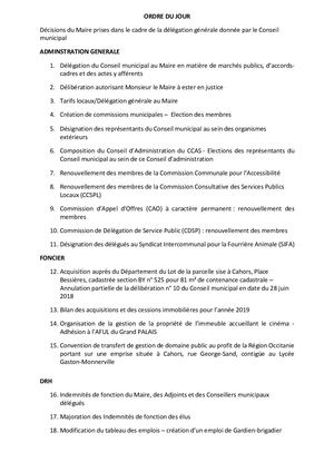 Séance du conseil municipal de la ville de Cahors du 11/06/2020