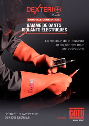 Web Plaquette Gants Dexteri 2020