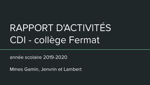 Rapport d'activités CDI - 2019 2020