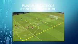 Principios Tácticos (Conceptualización)