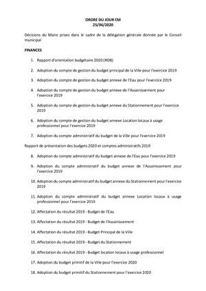 Séance du Conseil municipal de la Ville de Cahors du 25 06 2020