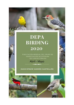 IED CARLOS GIRALDO DEPABIRDING No 2