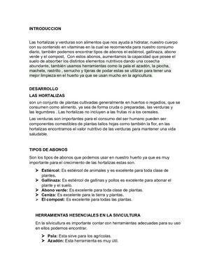 Introduccion Ensayo De Emprendimiento