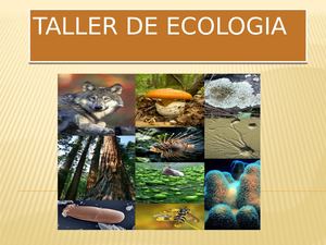 Activades Taller De Ecologia (Semana 17)
