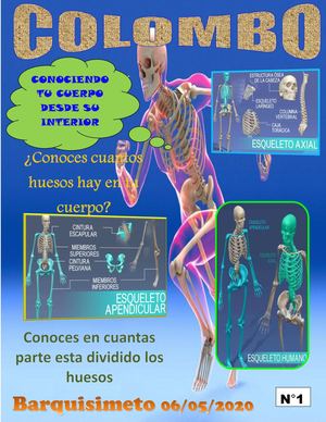 EJE Y PLANOS ANATÓMICOS