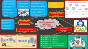 Mapa Mental Auditoria Y Control Interno