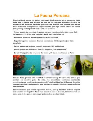 La Fauna Peruana