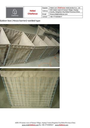 Chiefence Gabion Box Welded Type