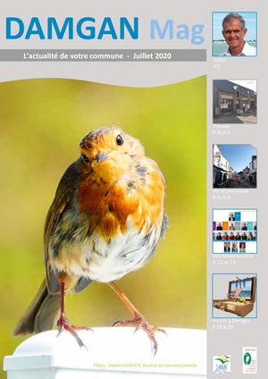 Damgan Mag Juillet 2020 Web