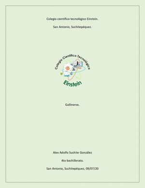 Gallineros Convertido