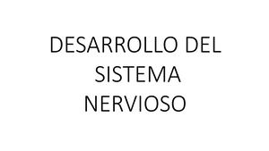 Expo Sistema Nervioso