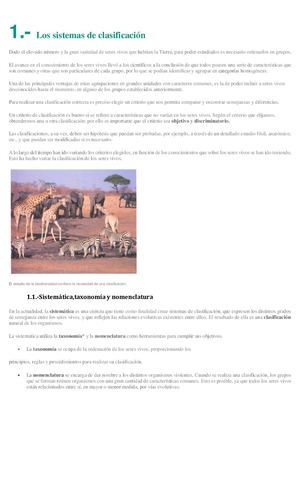 Sistemas de clasificación