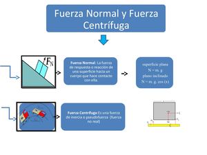 Casa Organizador Grafico
