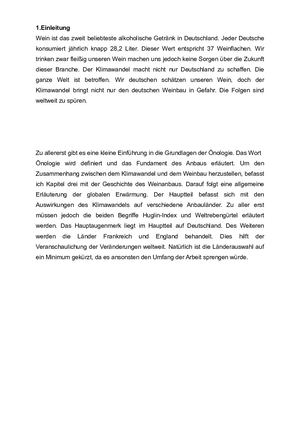 Essay einleitung beispiel picture