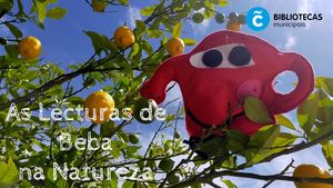 As Lecturas De Beba Na Natureza