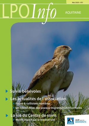 Lpo Info 81