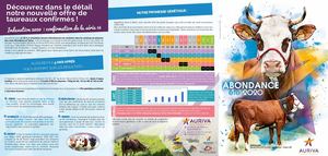 Dépliant Abondance ETE 2020