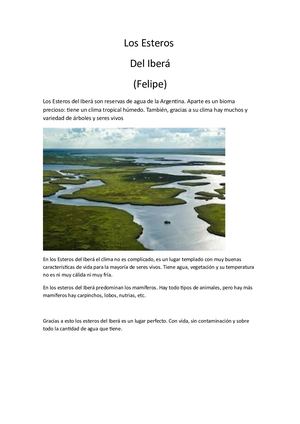 Esteros Del Iberá Felipe