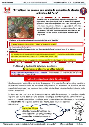 Ficha 18 Animales En Peligro De Extinción