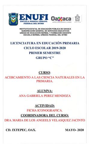 Ficha Iconográfica