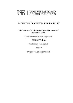 Mapa Conceptual Del Sistema Digestivo