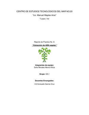 Reporte De Extracción de ADN vegetal.