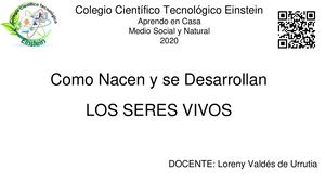 Oviparos Ovoviviparos Viviparos