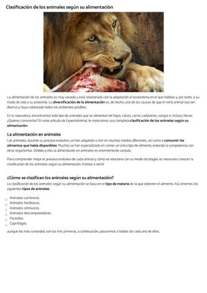 Clasificación De Los Animales Según Su Alimentación Expertoanimal Com