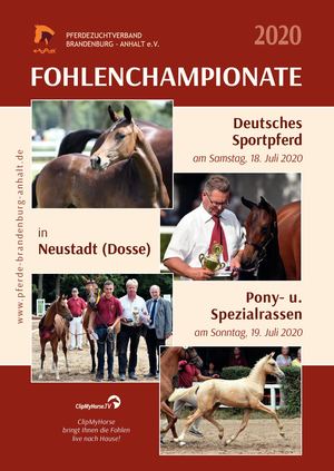 Fohlenchampionate Deutsches Sportpferd & Pony- und Spezialrassen 2020