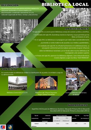 Infografia Biblioteca Local