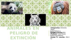 Animales En Peligro De Extincion Pai 4c