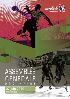 Rapport Ag2020 Consultation