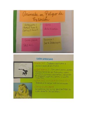 Fichas Animales En Peligro De Extinción