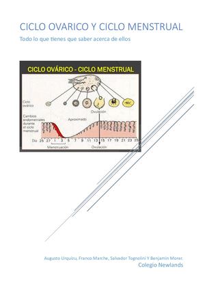 Ciclo Ovárico Y Ciclo Menstrual