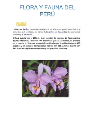 Flora Y Fauna Del Peru´ Camila Lopez Romero 6°b