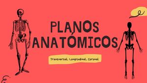 Planos Anatómicos
