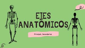 Ejes Anatómicos