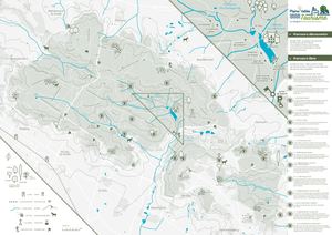 parcours forêt augmentée