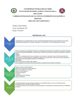 Metodo De Caso & Proceso De Enseñanza Aprendizaje (Pea)
