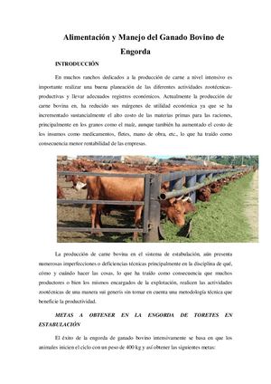 Alimentación Y Manejo Del Ganado Bovino De Engorda