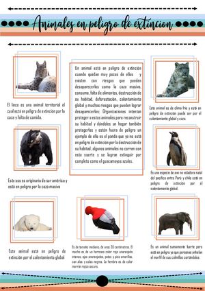 Infografia