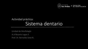 Anatomia Dentaria