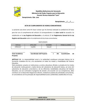 Informe De Labor Social